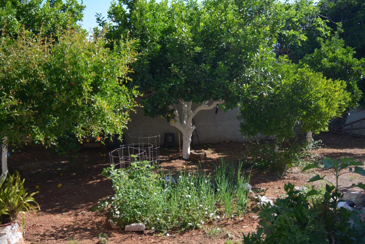 Sergios Village House خانيا المظهر الخارجي الصورة