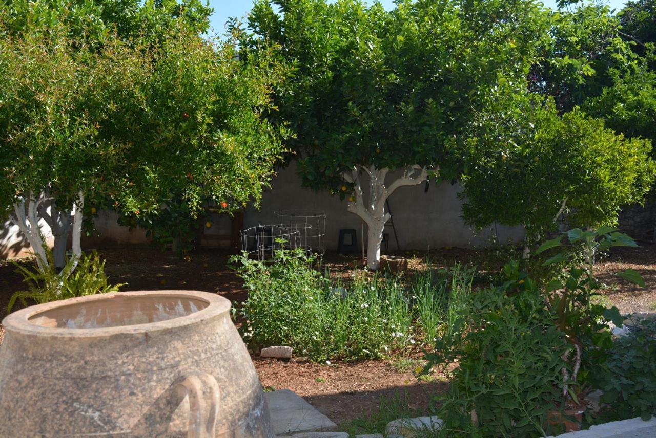 Sergios Village House خانيا المظهر الخارجي الصورة