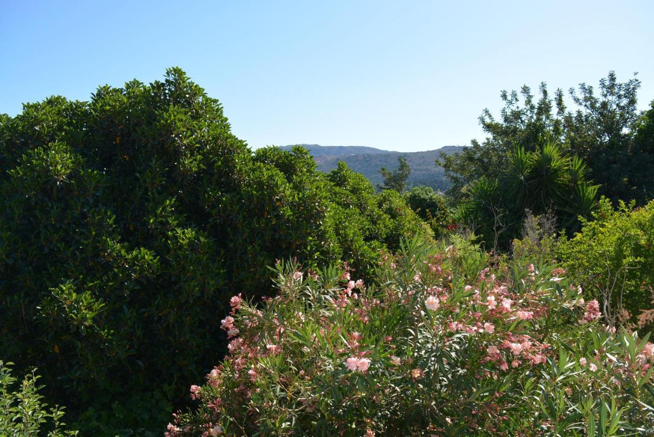 Sergios Village House خانيا المظهر الخارجي الصورة