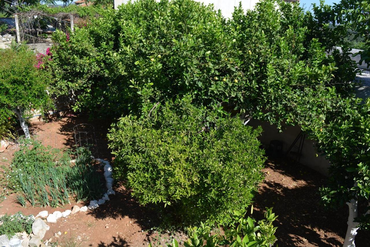Sergios Village House خانيا المظهر الخارجي الصورة