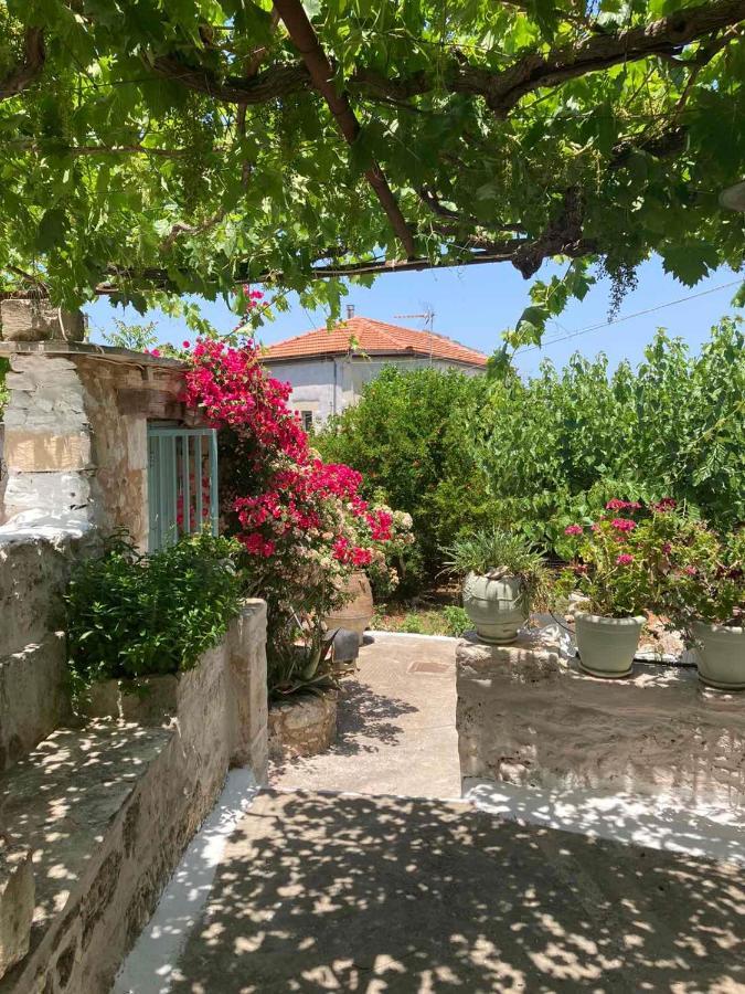 Sergios Village House خانيا المظهر الخارجي الصورة