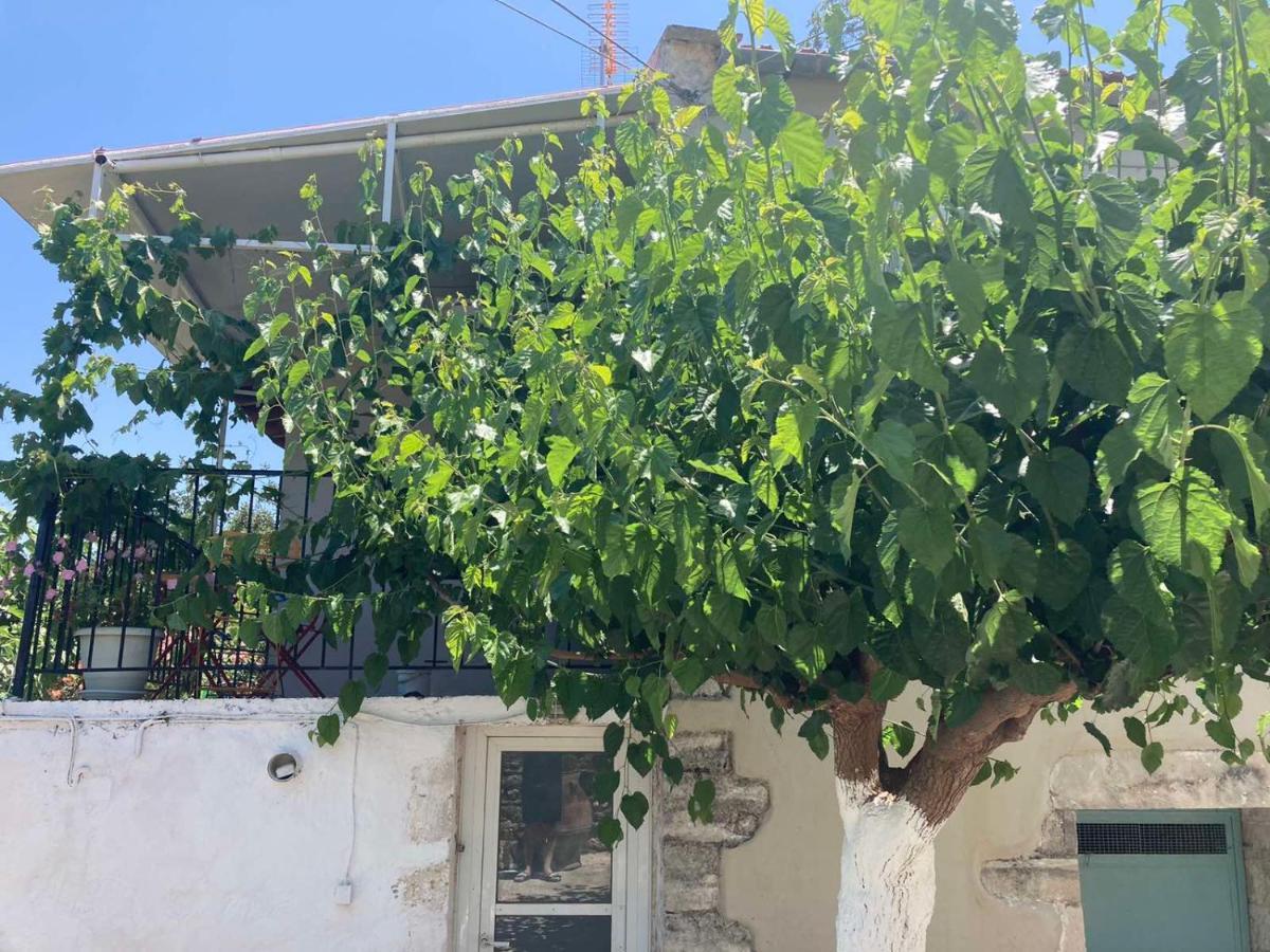 Sergios Village House خانيا المظهر الخارجي الصورة