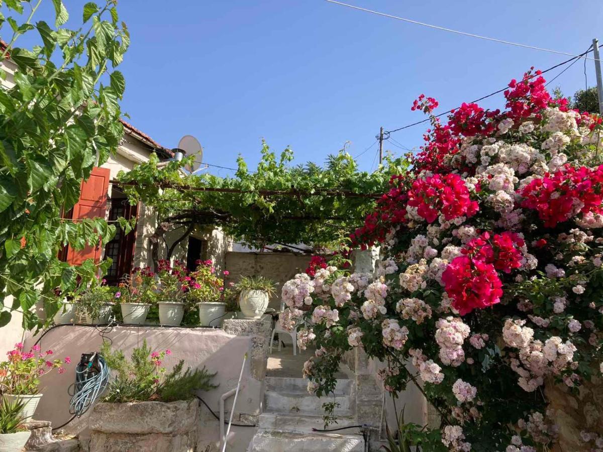 Sergios Village House خانيا المظهر الخارجي الصورة