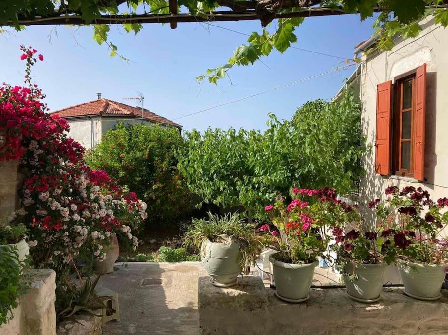 Sergios Village House خانيا المظهر الخارجي الصورة
