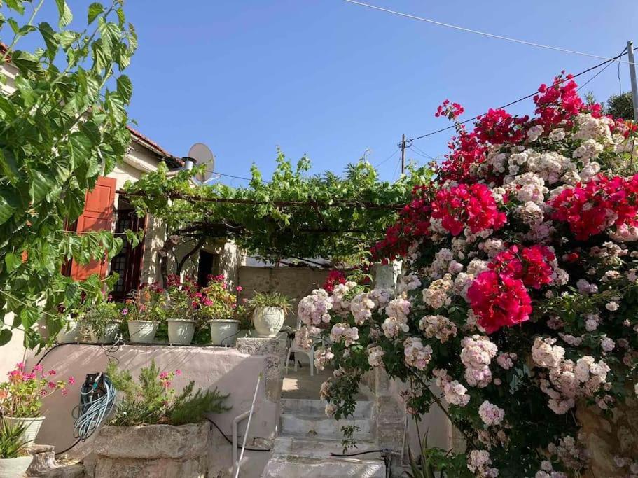 Sergios Village House خانيا المظهر الخارجي الصورة